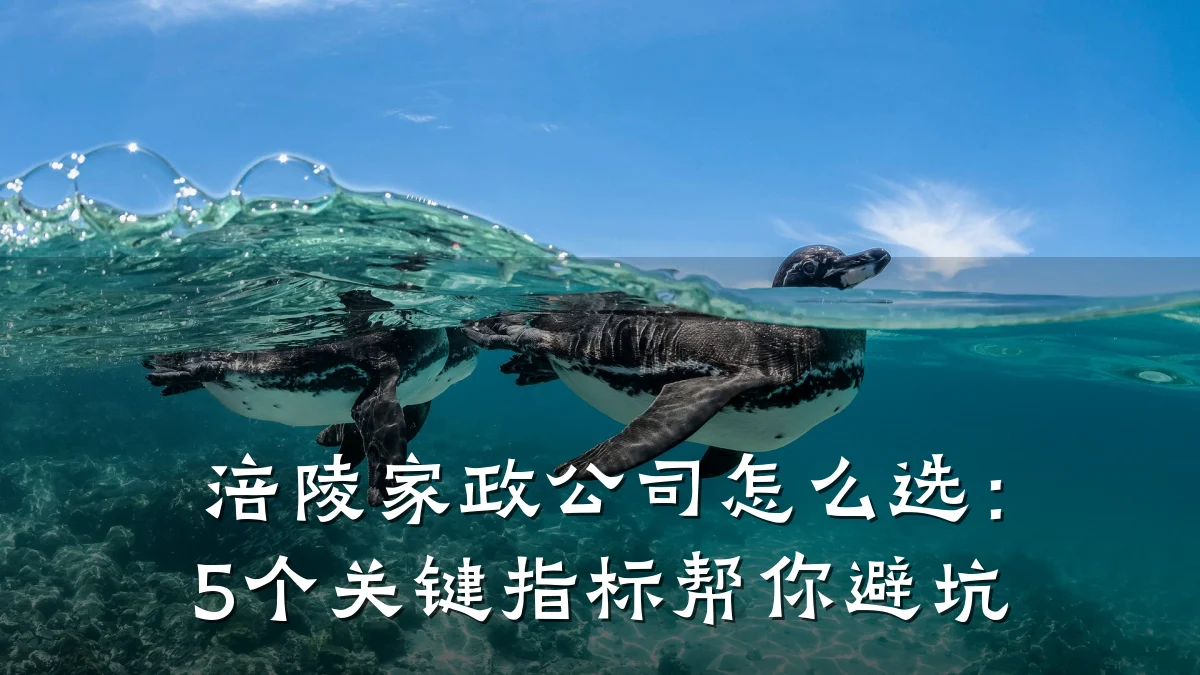 涪陵家政公司怎么选：5个关键指标帮你避坑