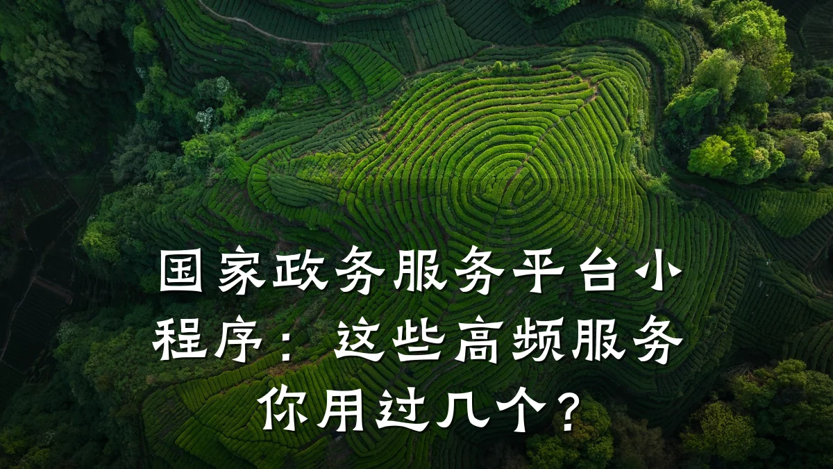 国家政务服务平台小程序：这些高频服务你用过几个？