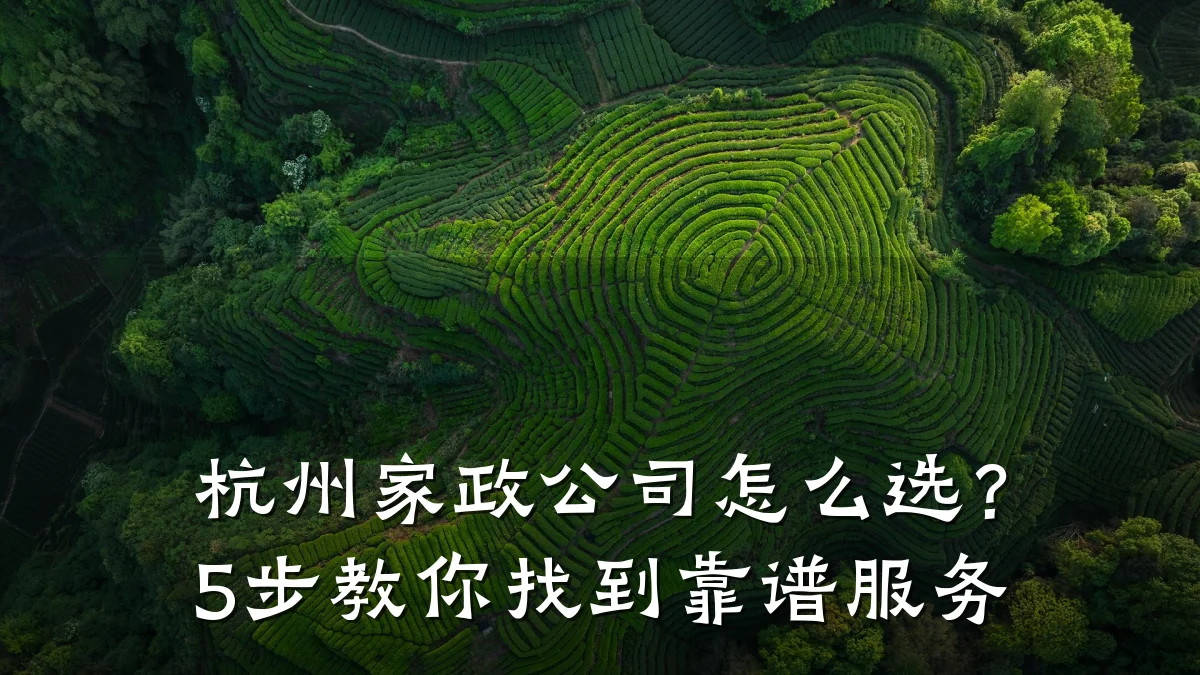 杭州家政公司怎么选?5步教你找到靠谱服务