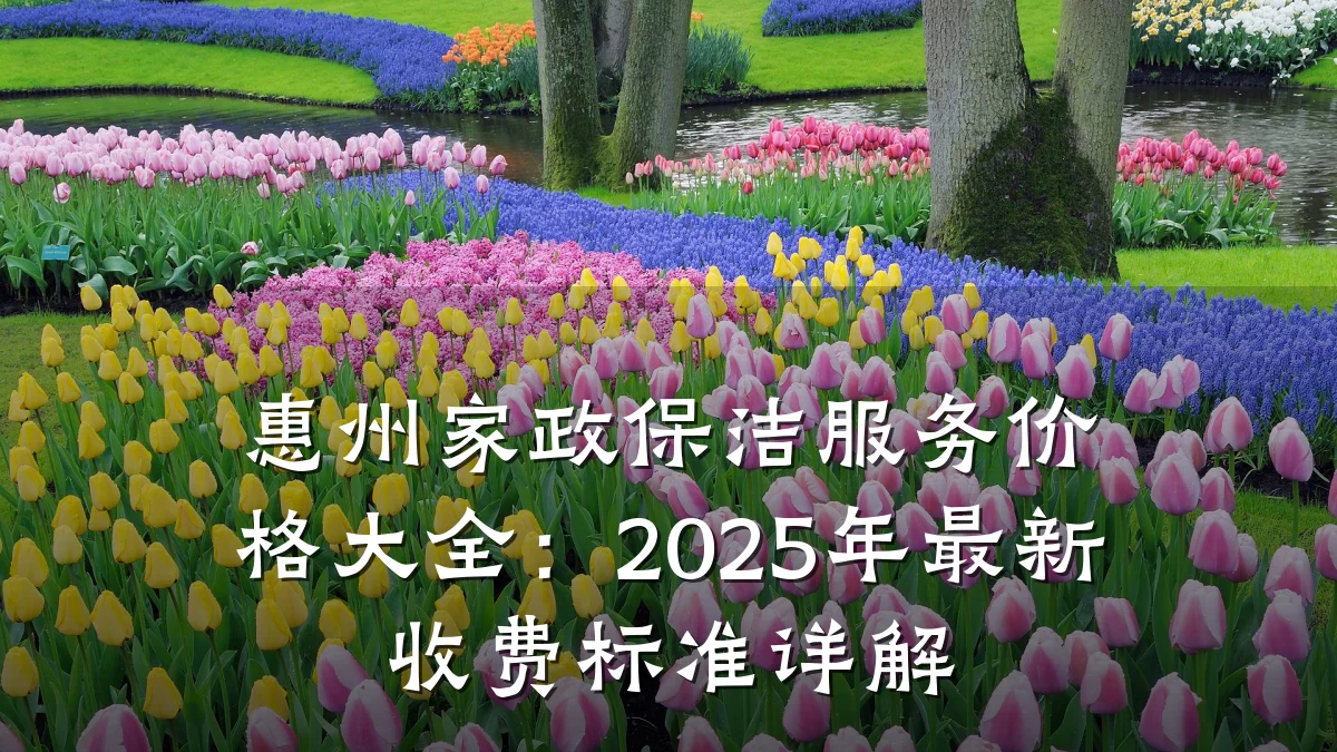 惠州家政保洁服务价格大全：2025年最新收费标准详解