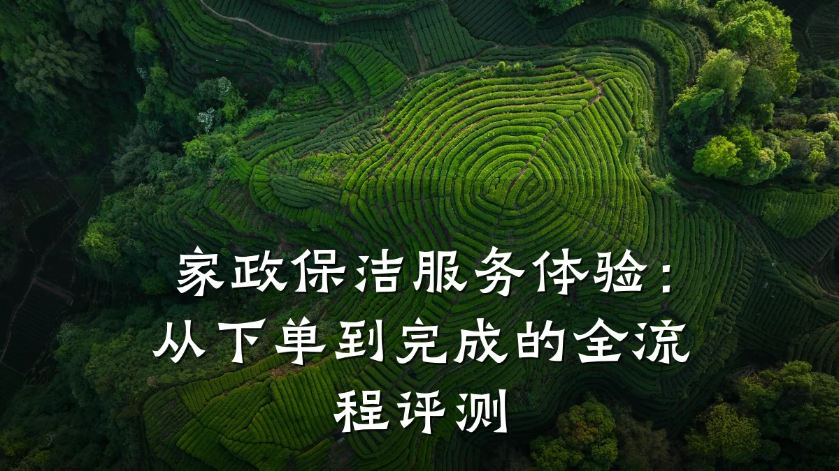 家政保洁服务体验：从下单到完成的全流程评测