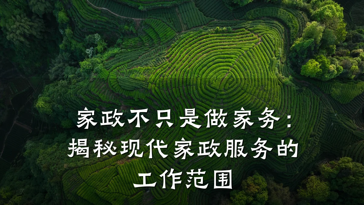 家政不只是做家务:揭秘现代家政服务的工作范围