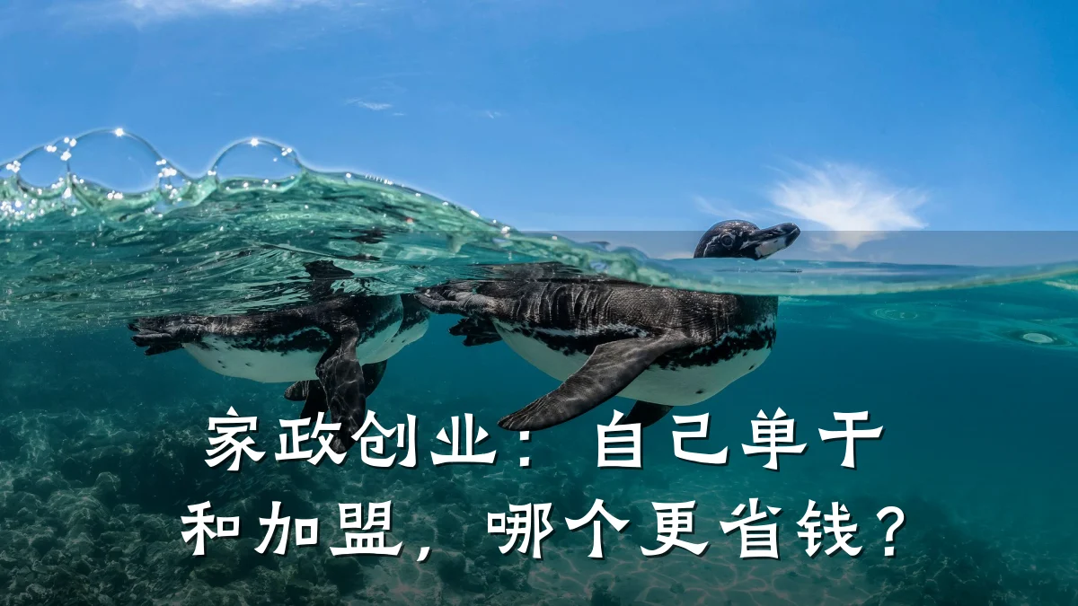 家政创业：自己单干和加盟，哪个更省钱？
