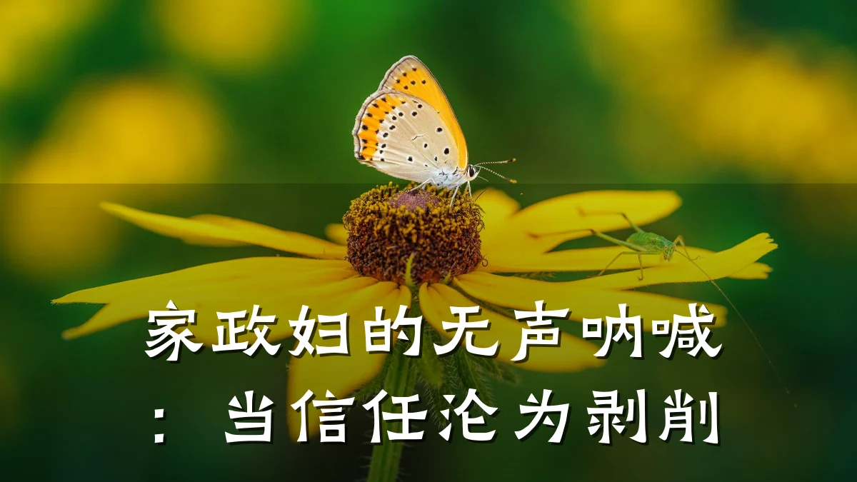 家政妇的无声呐喊：当信任沦为剥削