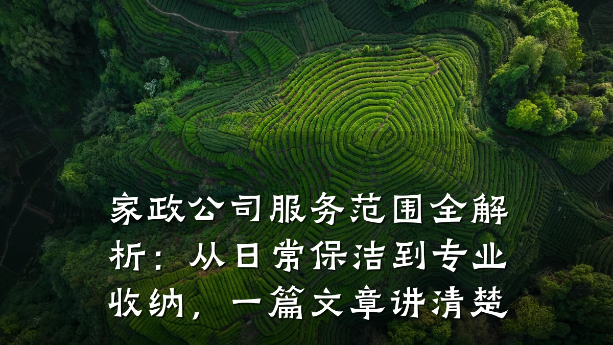 家政公司服务范围全解析:从日常保洁到专业收纳,一篇文章讲清楚