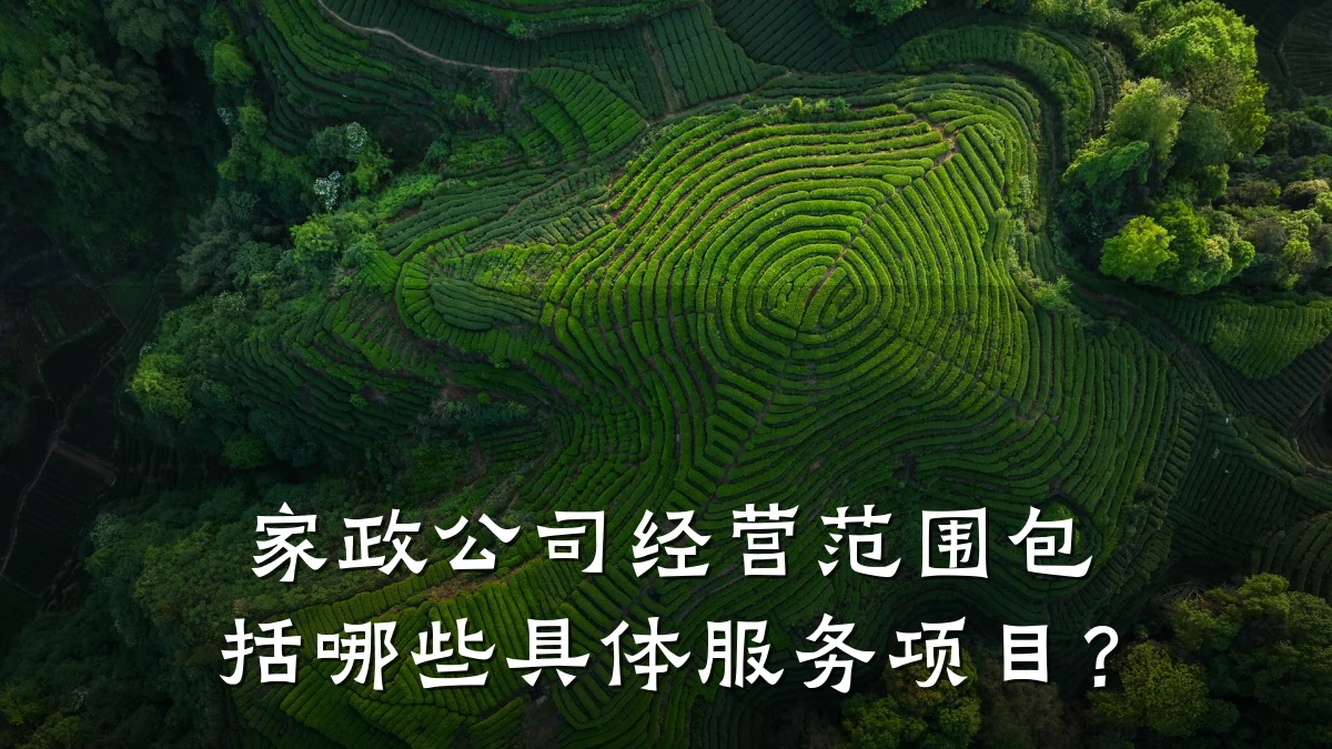 家政公司经营范围包括哪些具体服务项目？