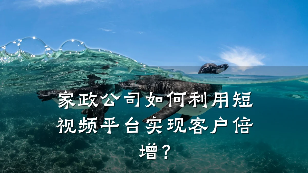 家政公司如何利用短视频平台实现客户倍增?