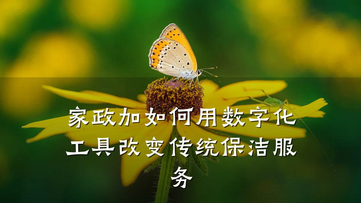 家政加如何用数字化工具改变传统保洁服务