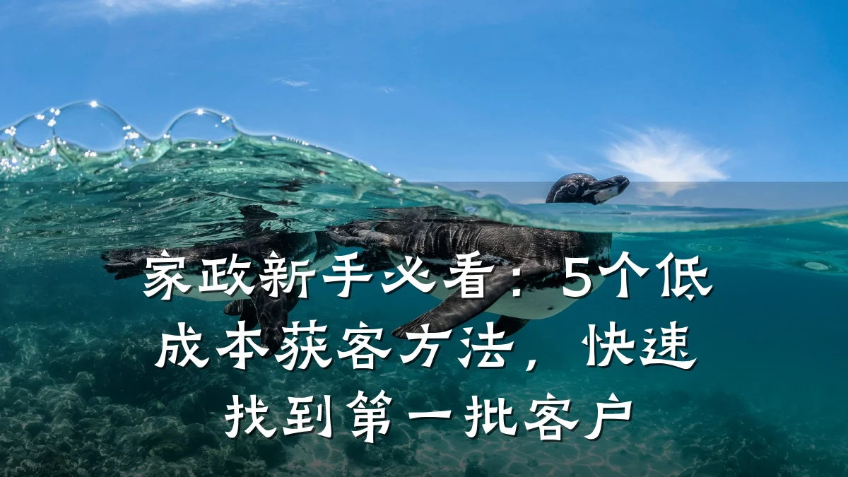 家政新手必看:5个低成本获客方法,快速找到第一批客户