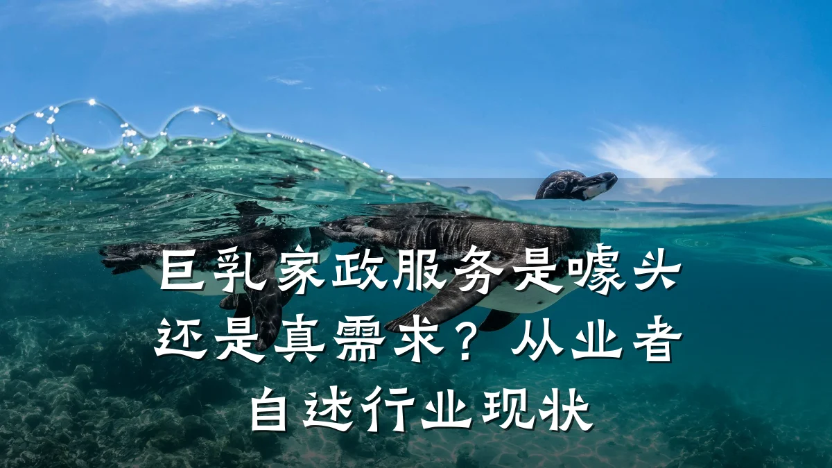 巨乳家政服务是噱头还是真需求?从业者自述行业现状