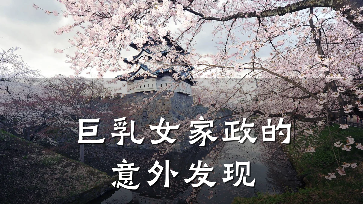 巨乳女家政的意外发现