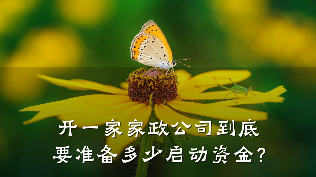 开一家家政公司到底要准备多少启动资金?