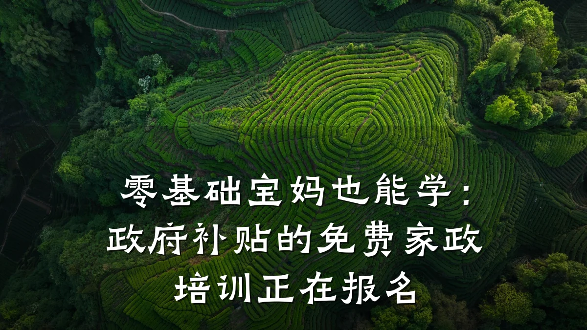 零基础宝妈也能学:政府补贴的免费家政培训正在报名
