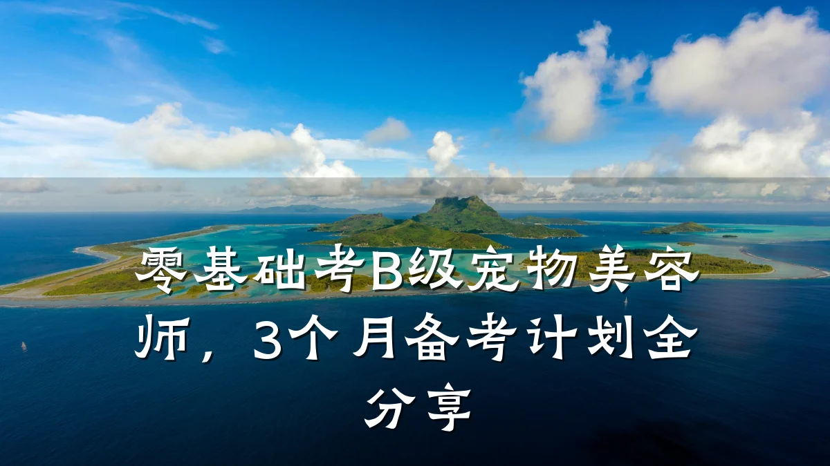 零基础考B级宠物美容师,3个月备考计划全分享