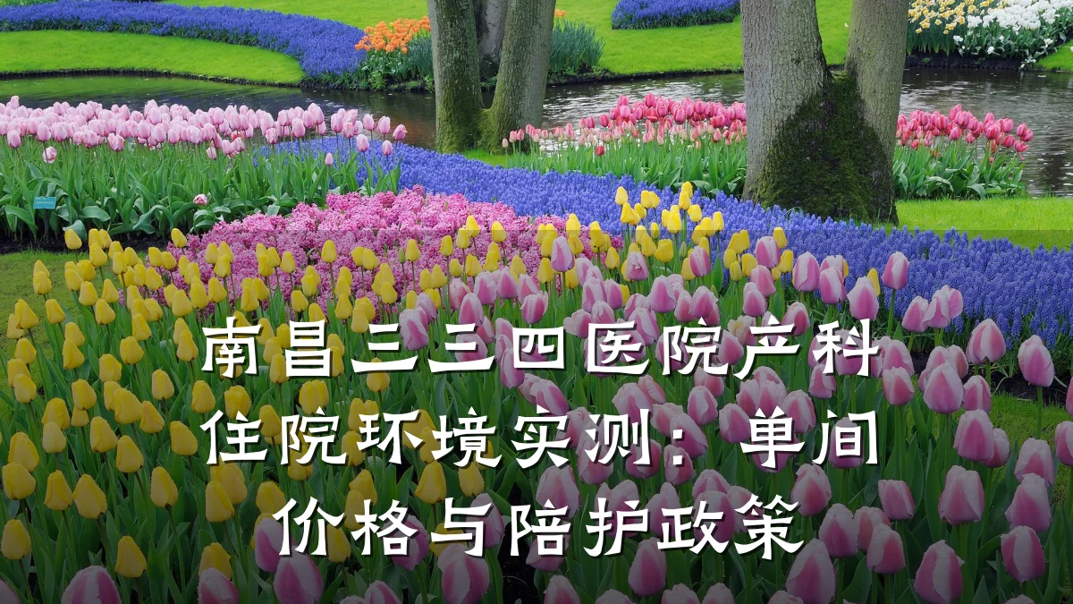 南昌三三四医院产科住院环境实测:单间价格与陪护政策
