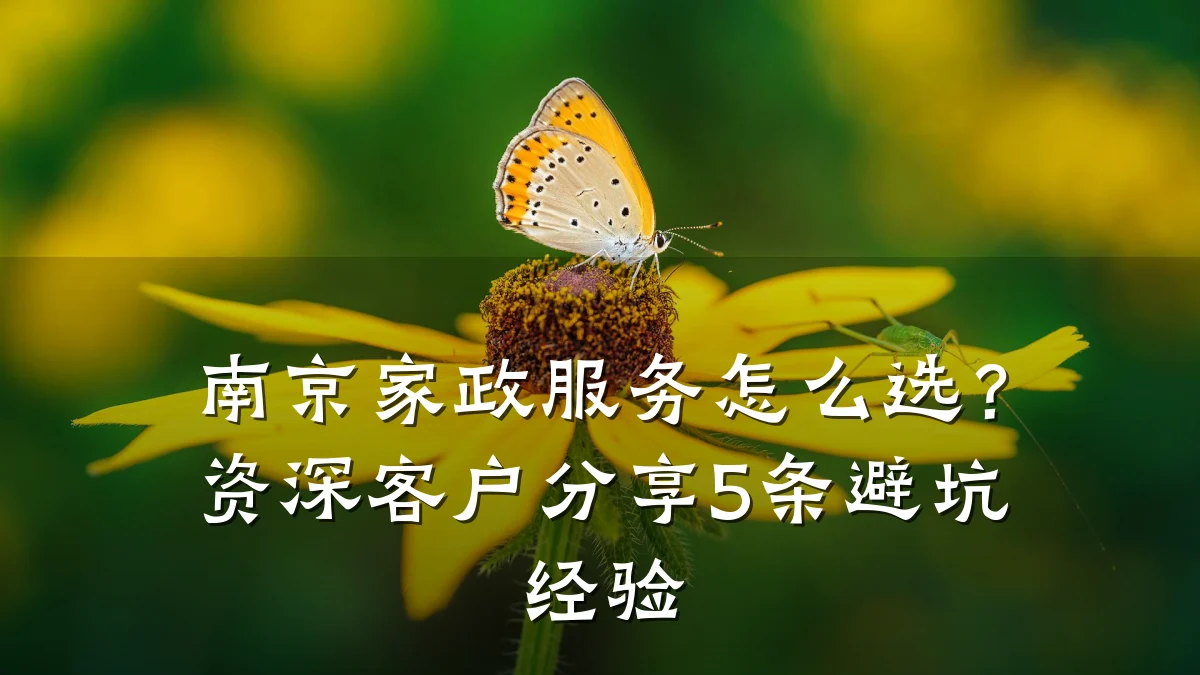 南京家政服务怎么选?资深客户分享5条避坑经验