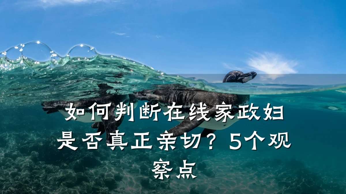如何判断在线家政妇是否真正亲切?5个观察点
