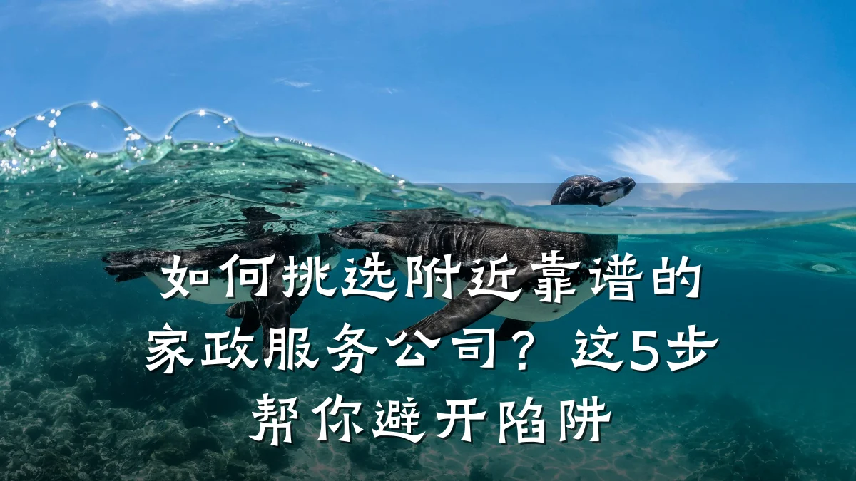 如何挑选附近靠谱的家政服务公司?这5步帮你避开陷阱