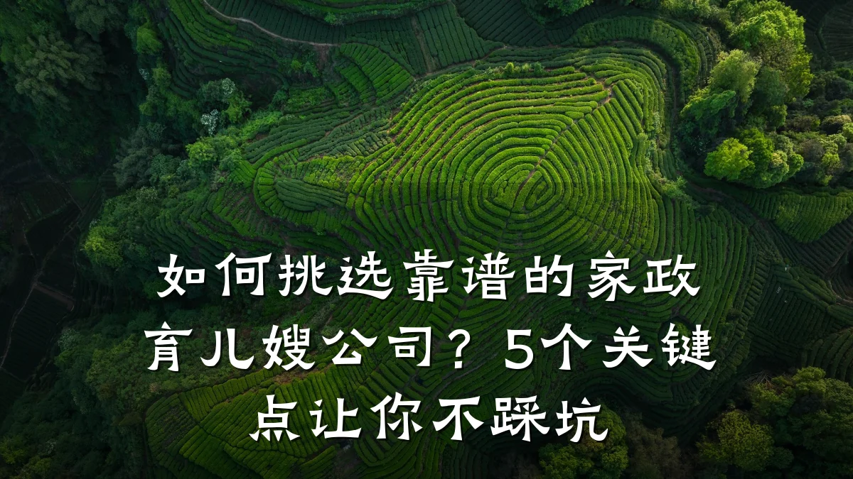 如何挑选靠谱的家政育儿嫂公司？5个关键点让你不踩坑