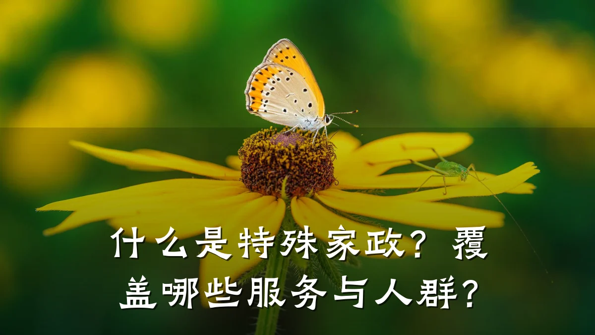 什么是特殊家政？覆盖哪些服务与人群？