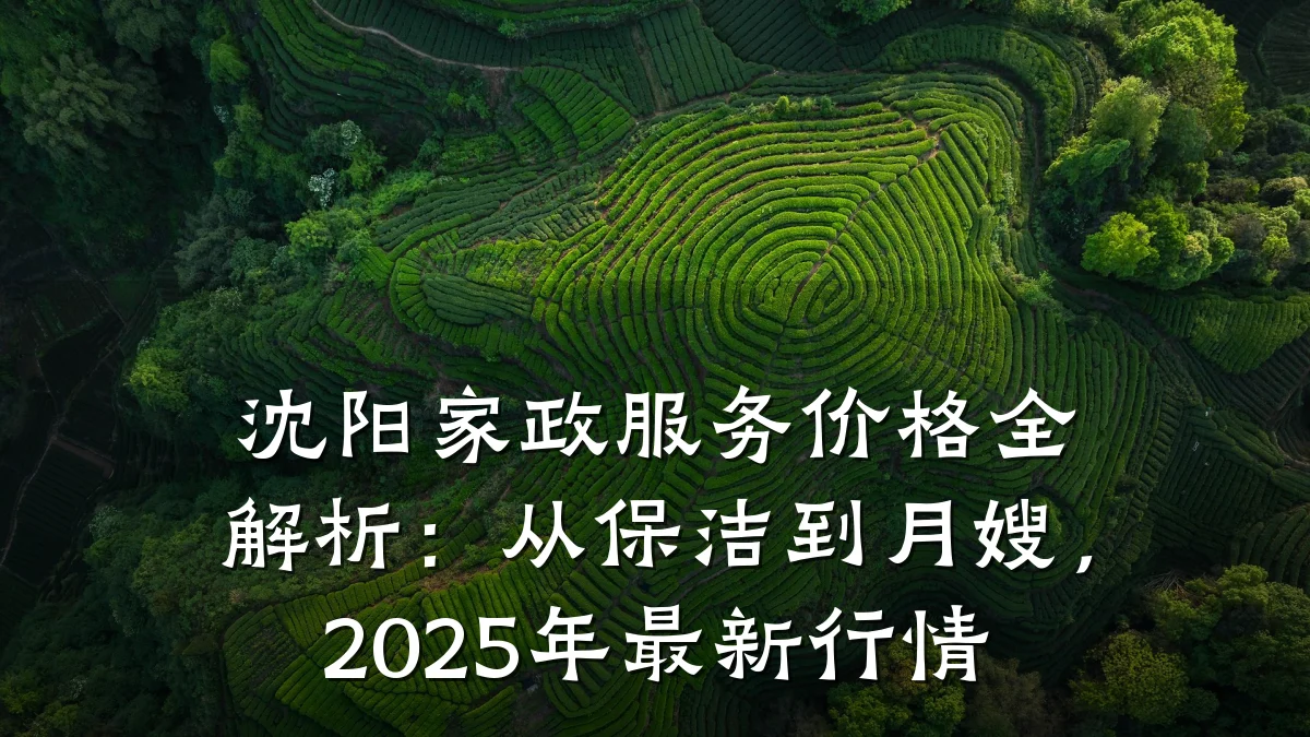 沈阳家政服务价格全解析：从保洁到月嫂，2025年最新行情