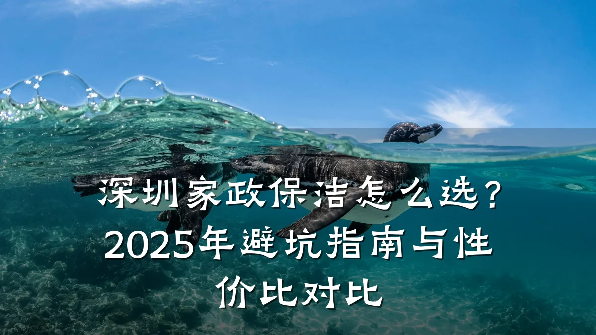 深圳家政保洁怎么选?2025年避坑指南与性价比对比