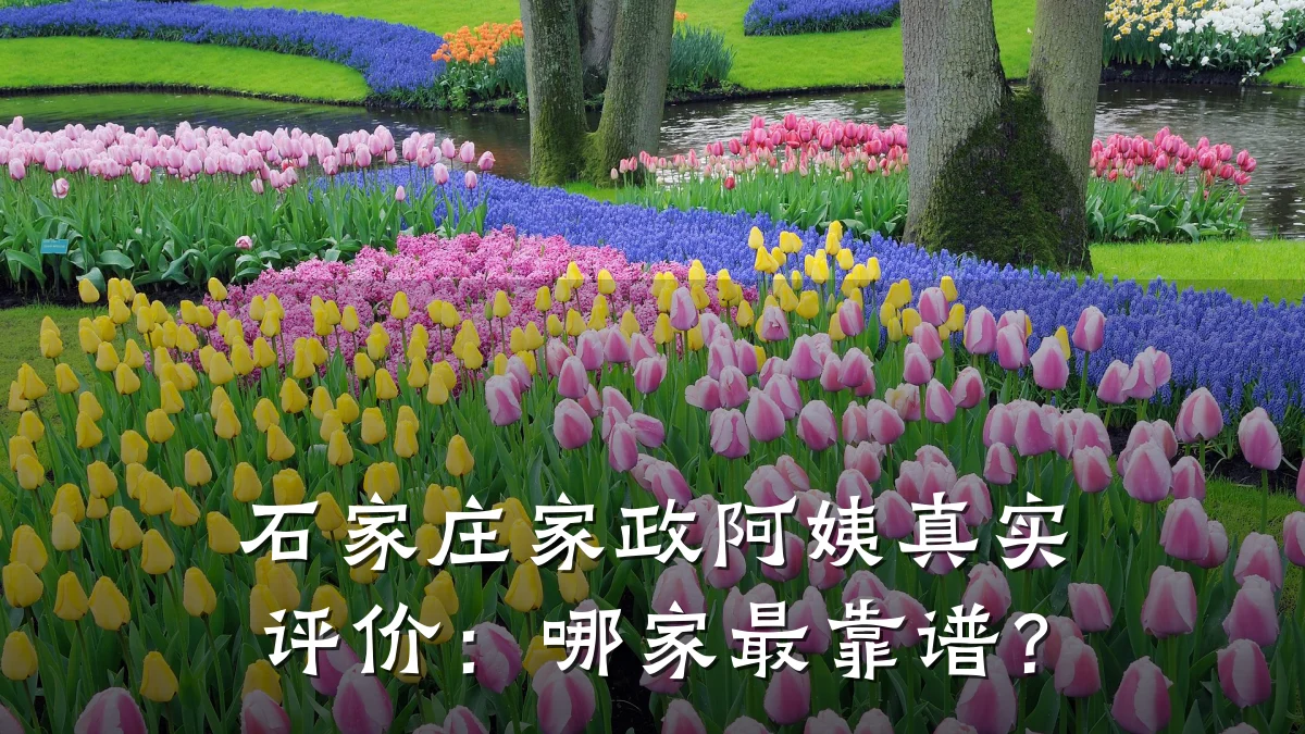 石家庄家政阿姨真实评价：哪家最靠谱？