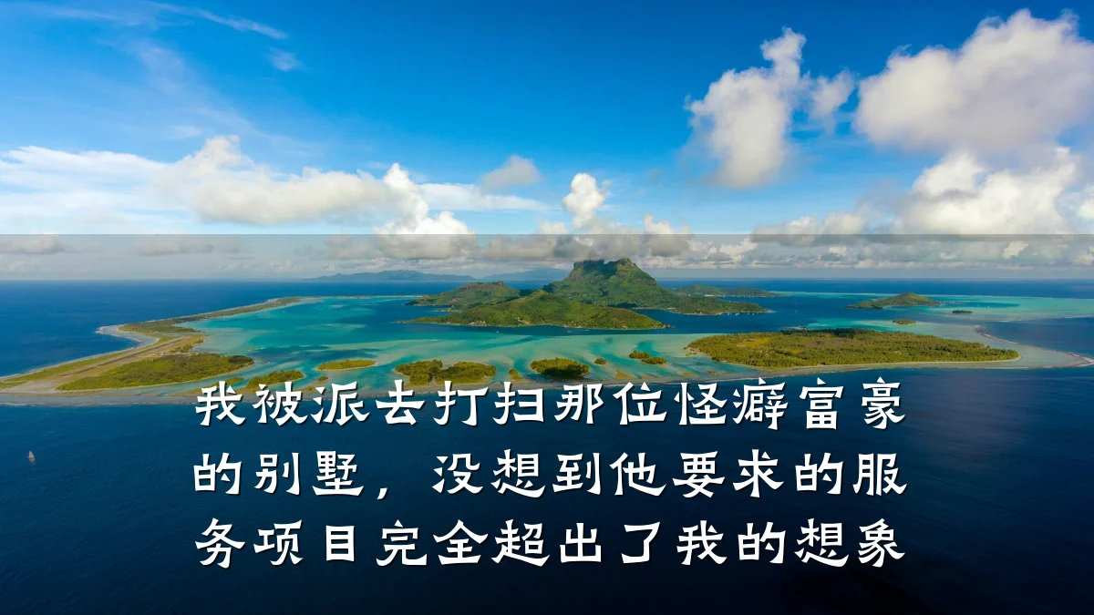 我被派去打扫那位怪癖富豪的别墅，没想到他要求的服务项目完全超出了我的想象