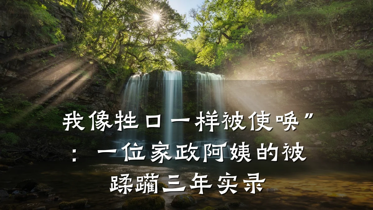 我像牲口一样被使唤”:一位家政阿姨的被蹂躏三年实录