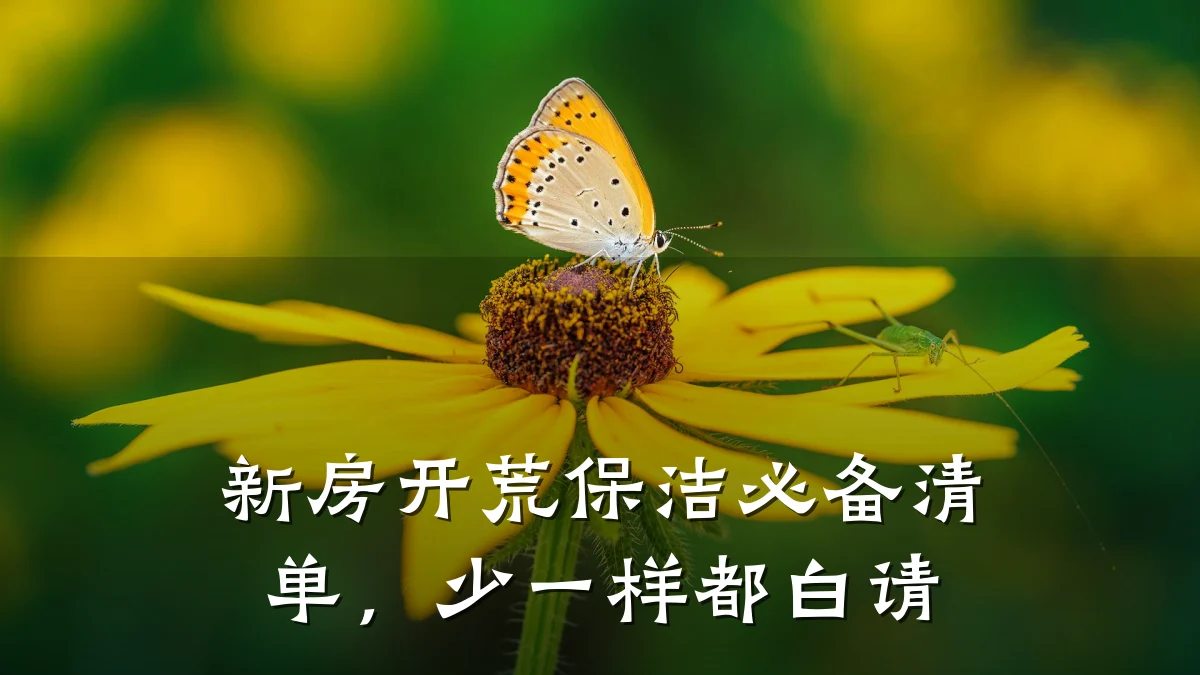 新房开荒保洁必备清单,少一样都白请