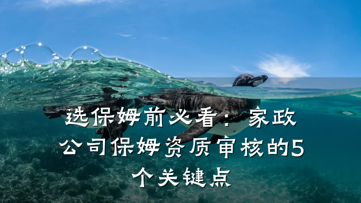 选保姆前必看：家政公司保姆资质审核的5个关键点
