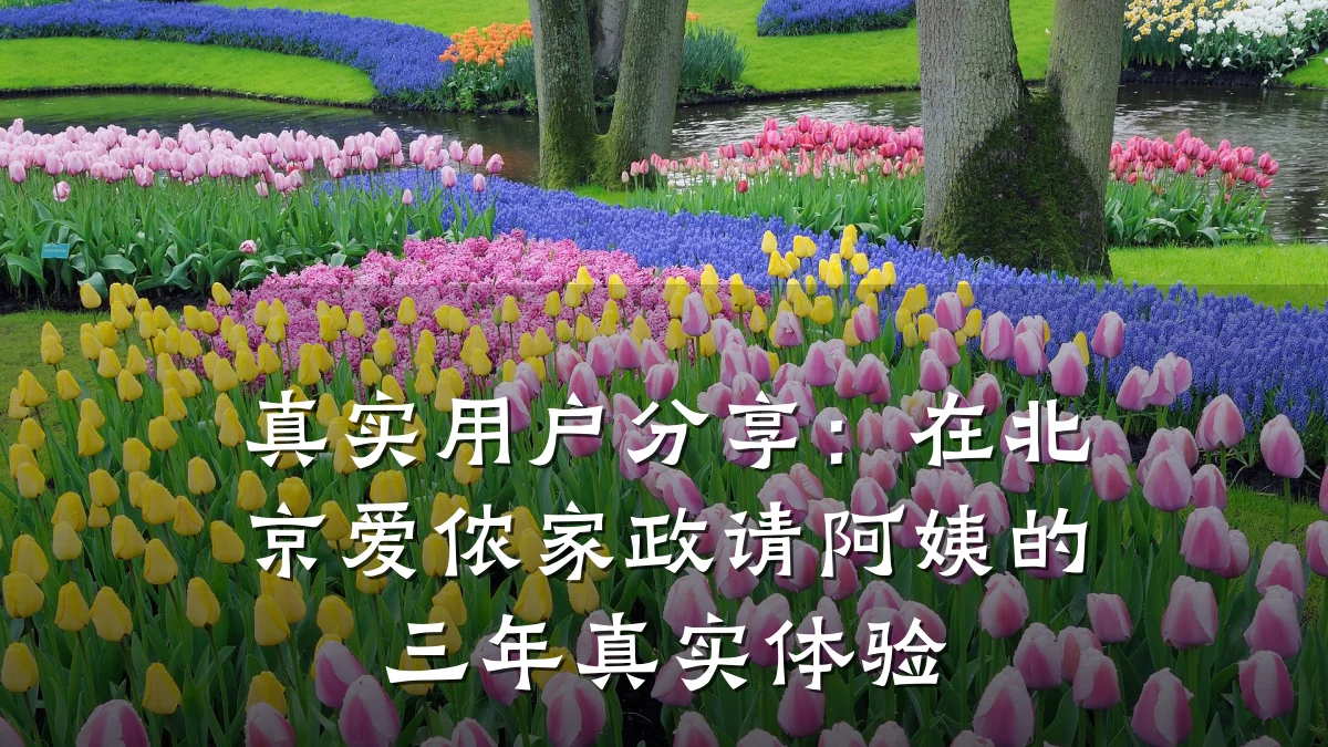 真实用户分享:在北京爱侬家政请阿姨的三年真实体验