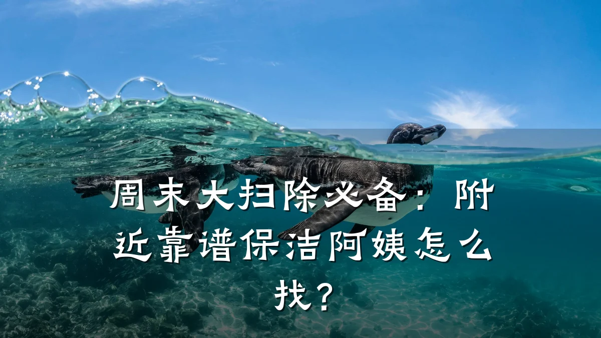 周末大扫除必备：附近靠谱保洁阿姨怎么找？