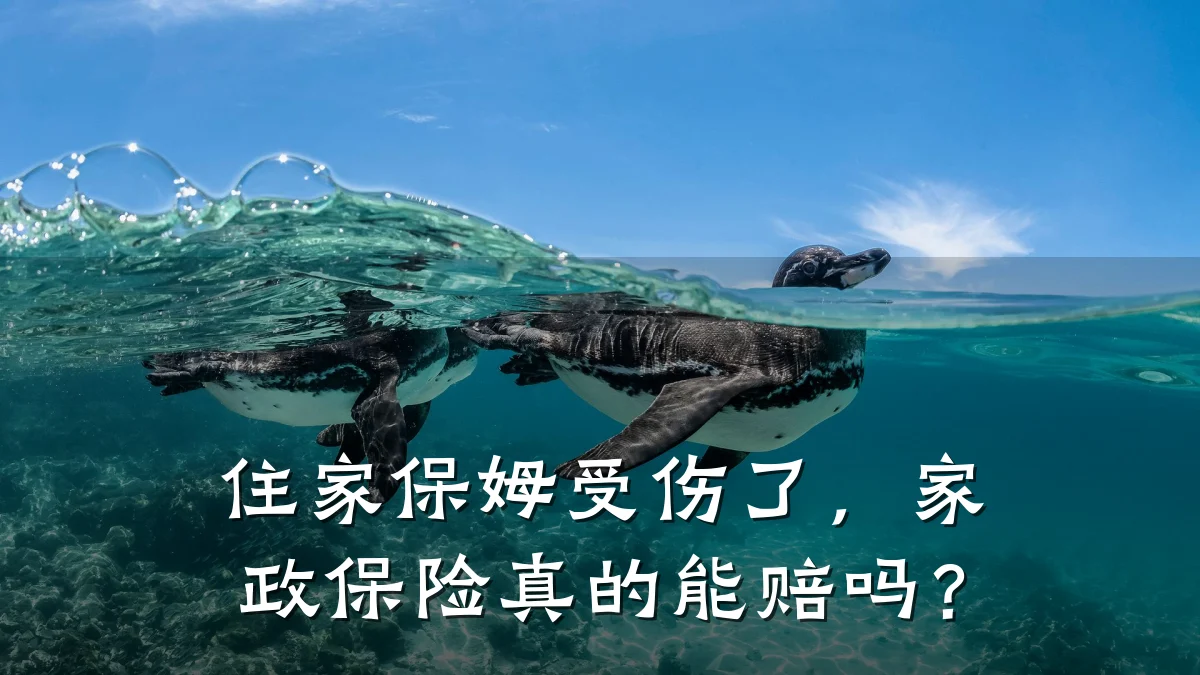 住家保姆受伤了，家政保险真的能赔吗？