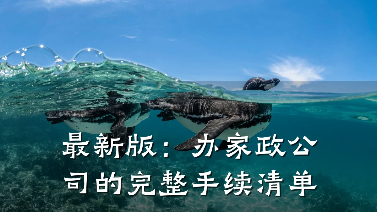 最新版：办家政公司的完整手续清单