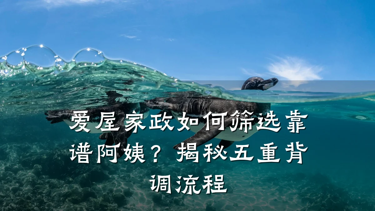 爱屋家政如何筛选靠谱阿姨？揭秘五重背调流程