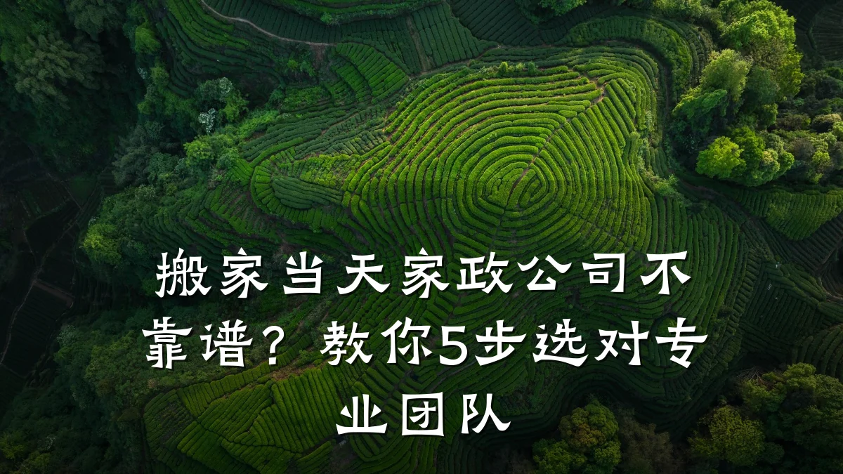 搬家当天家政公司不靠谱?教你5步选对专业团队