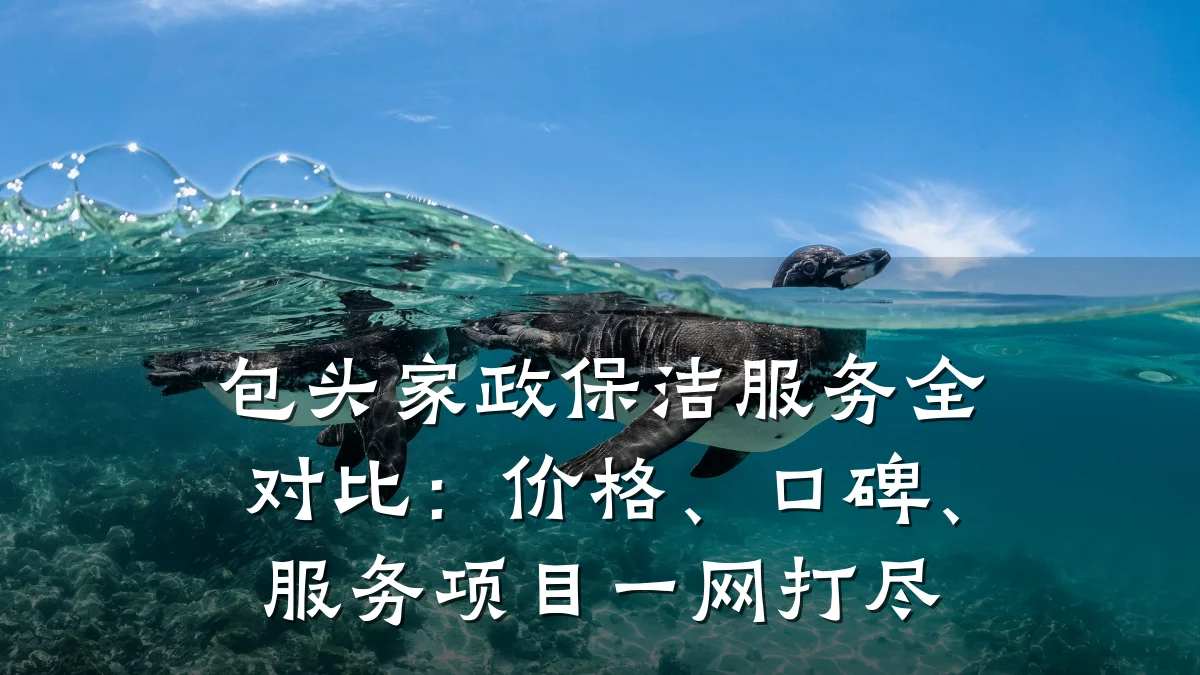 包头家政保洁服务全对比：价格、口碑、服务项目一网打尽