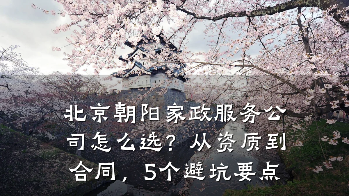 北京朝阳家政服务公司怎么选?从资质到合同,5个避坑要点