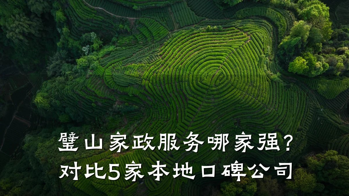 璧山家政服务哪家强?对比5家本地口碑公司