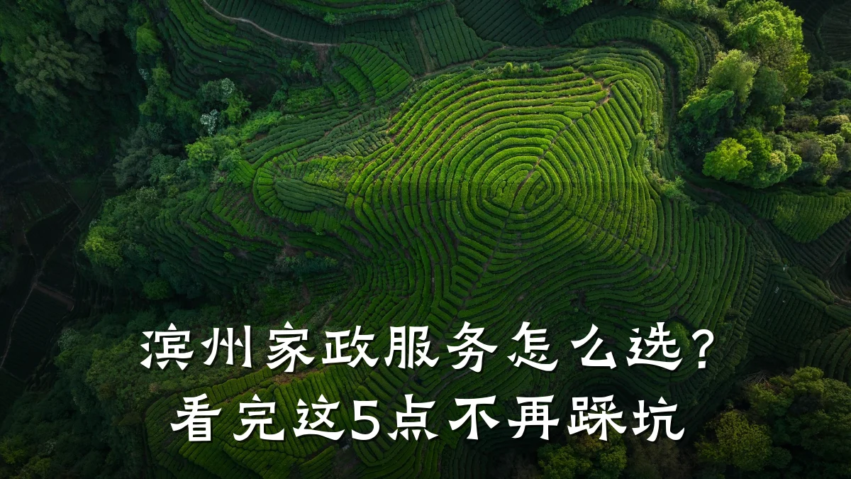 滨州家政服务怎么选?看完这5点不再踩坑