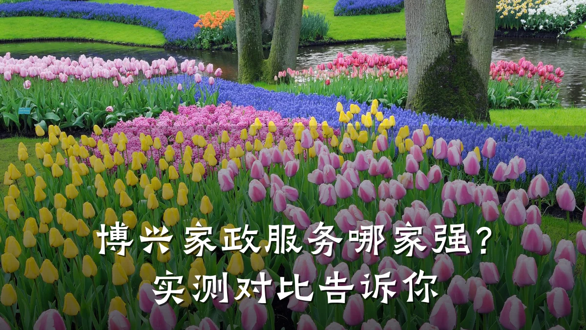 博兴家政服务哪家强?实测对比告诉你