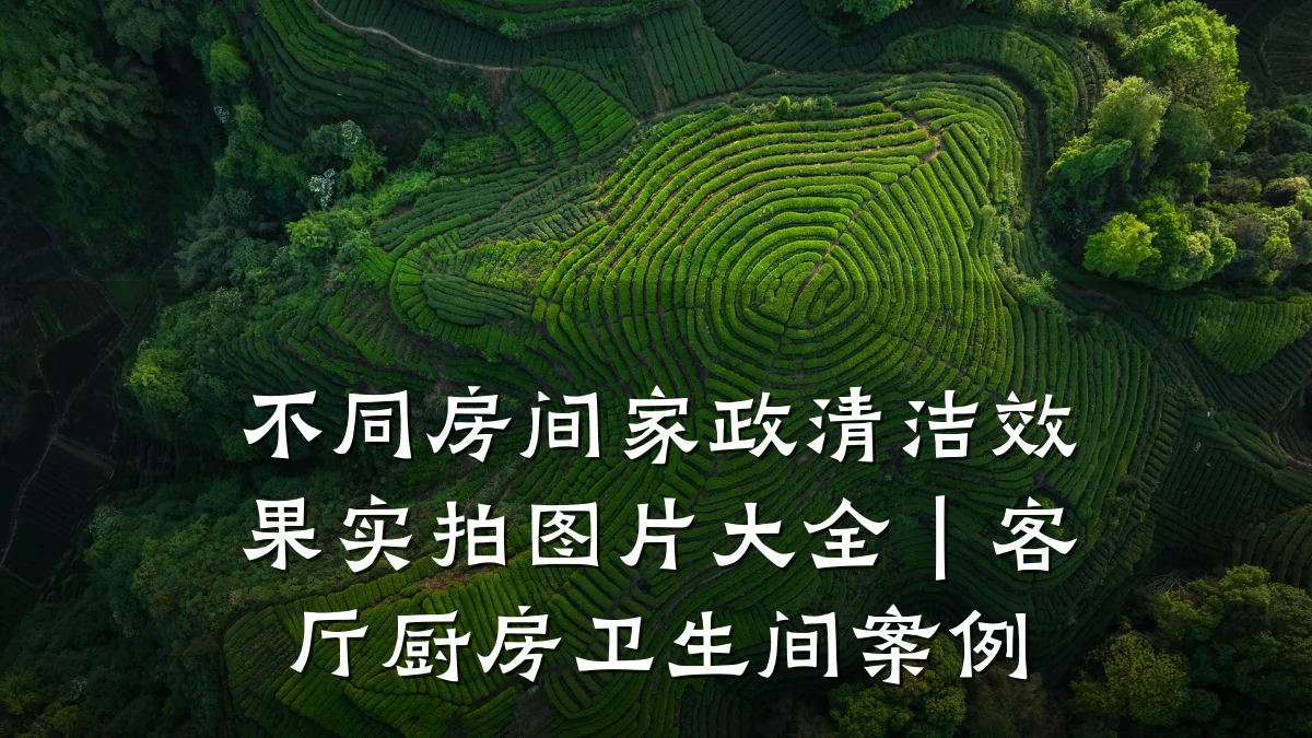 不同房间家政清洁效果实拍图片大全｜客厅厨房卫生间案例