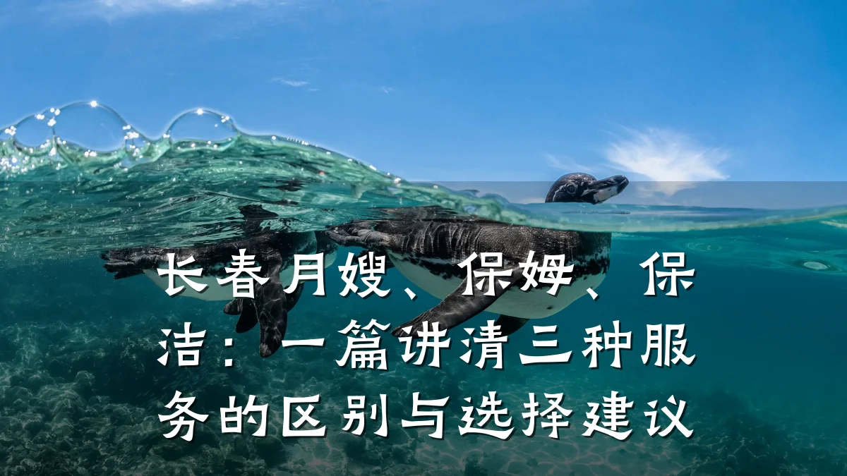 长春月嫂、保姆、保洁:一篇讲清三种服务的区别与选择建议