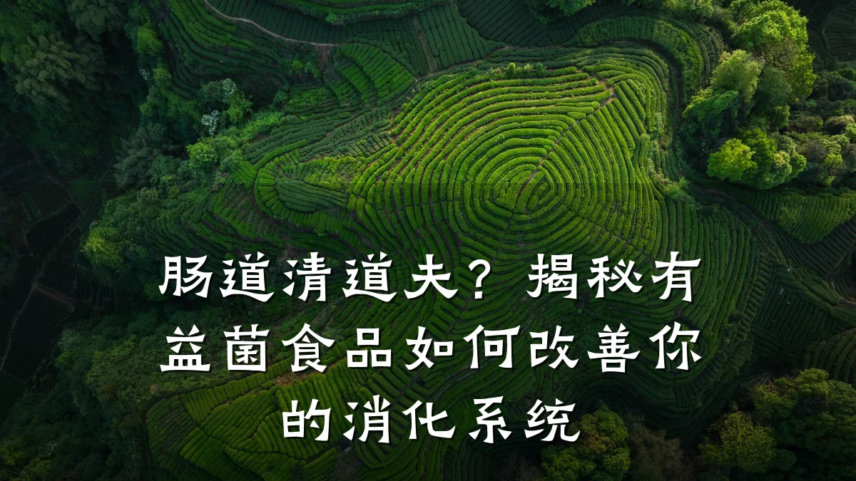 肠道清道夫?揭秘有益菌食品如何改善你的消化系统