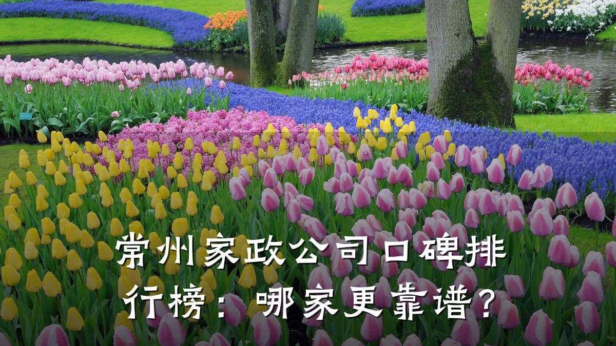 常州家政公司口碑排行榜：哪家更靠谱？