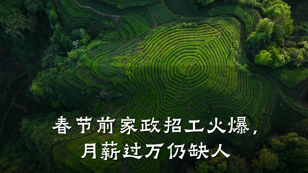 春节前家政招工火爆,月薪过万仍缺人