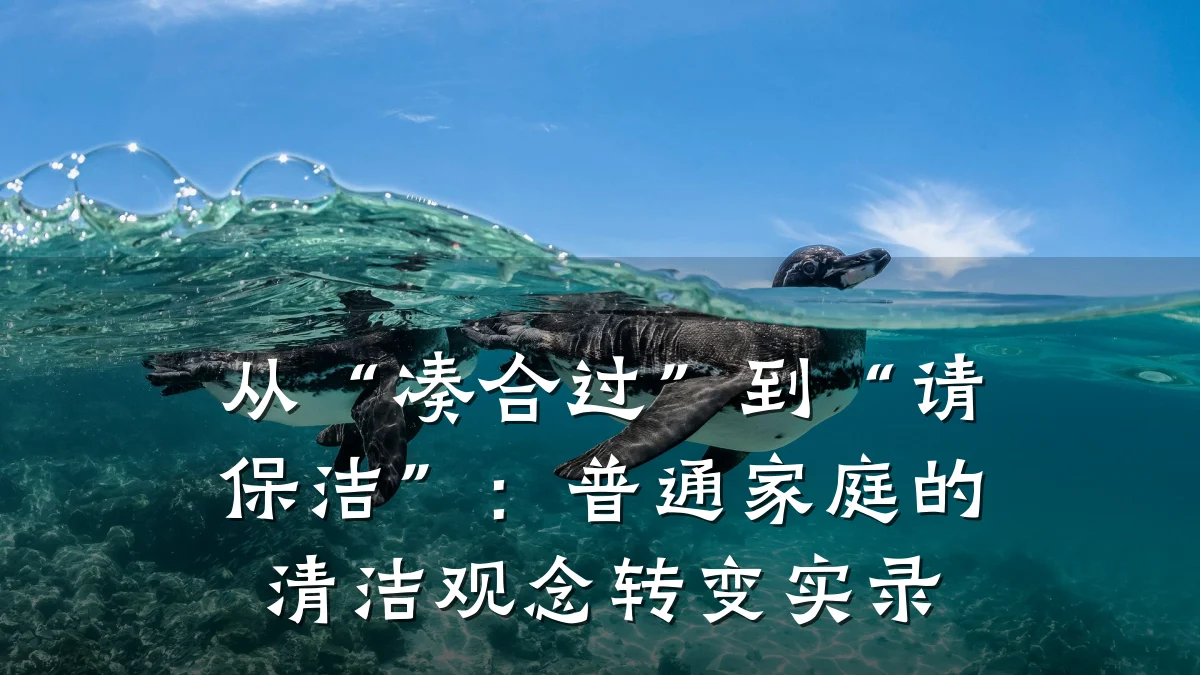 从“凑合过”到“请保洁”:普通家庭的清洁观念转变实录