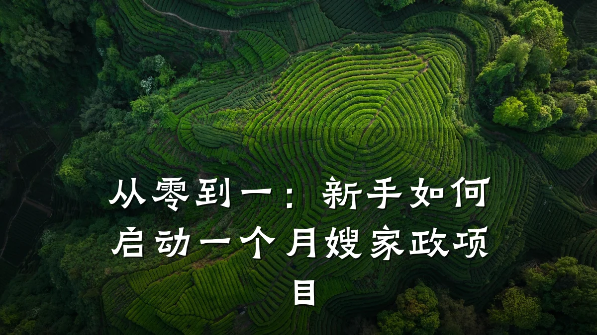从零到一:新手如何启动一个月嫂家政项目