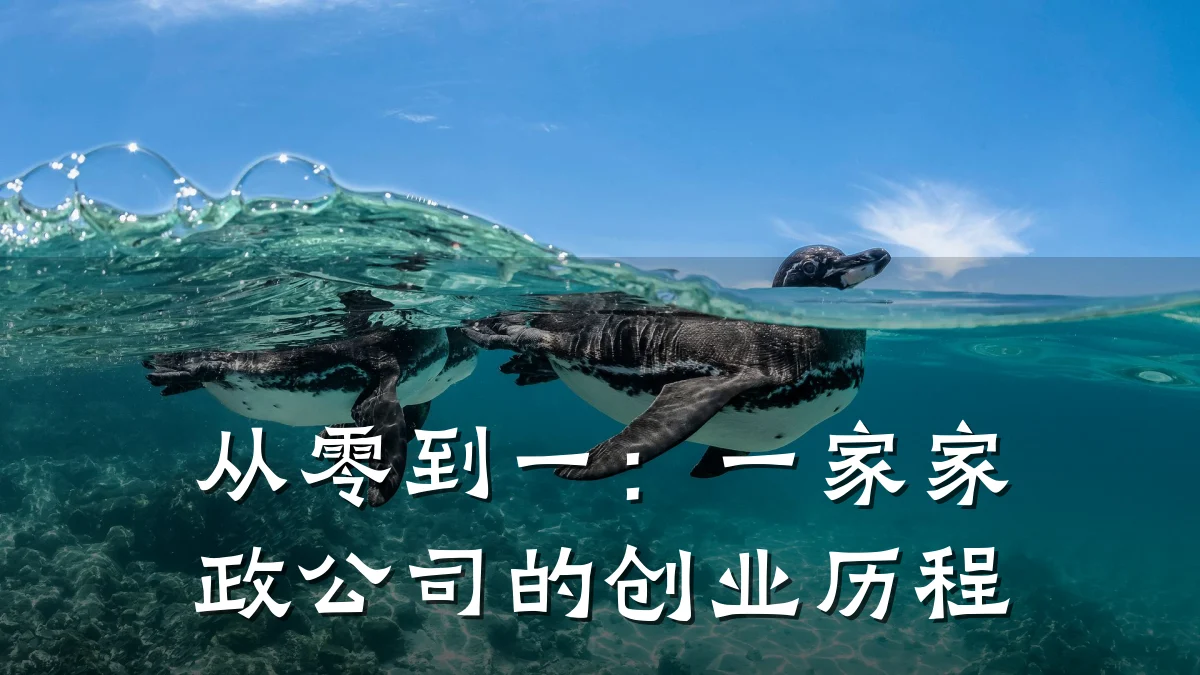从零到一：一家家政公司的创业历程